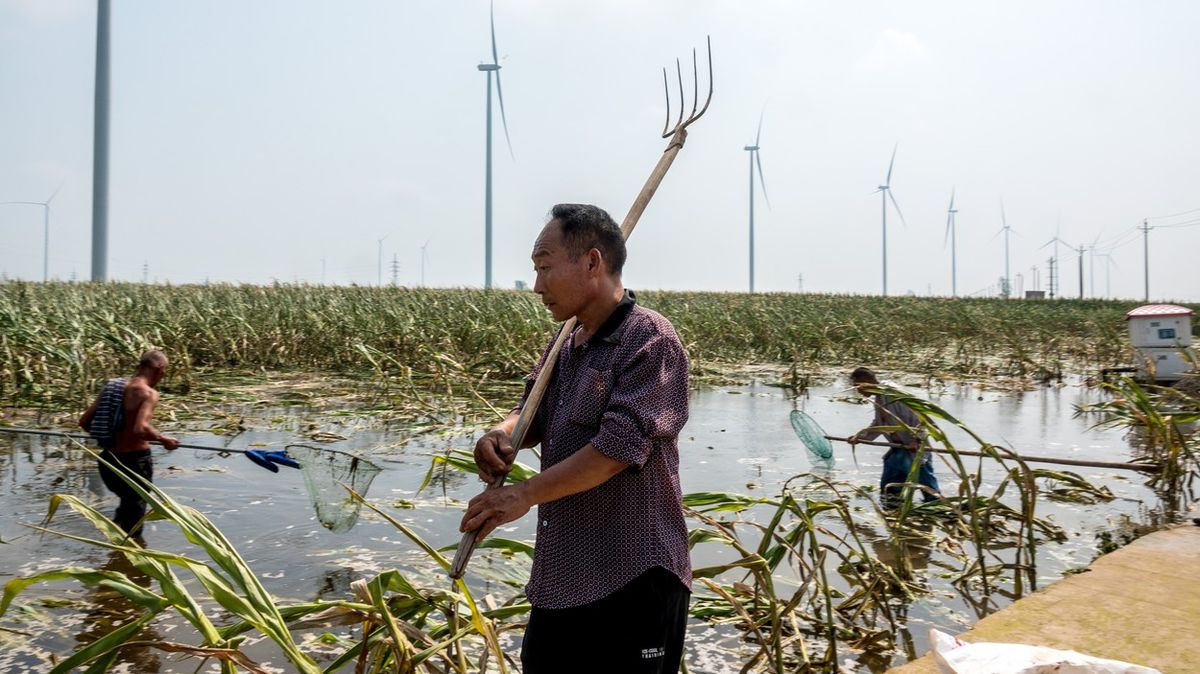 „Obilnice Číny“ čelí záplavám. Obavy z potravinové bezpečnosti v zemi rostou